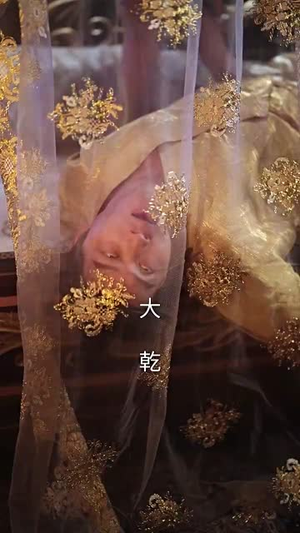 神医短剧《乾帝（89集）》全集免费观影无压力