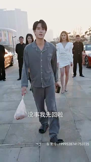 剧情短剧《隐龙之护妻高手（100集）》全集免费在线观看