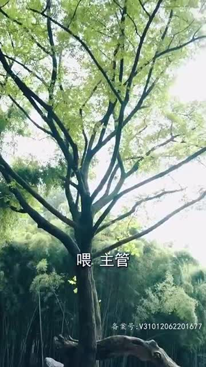 悬疑短剧《我能来回穿越（99集）》真的太好看了