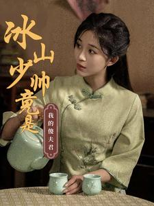 冰山少帅竟是我的傻夫君（86集）短剧大结局全集特惠