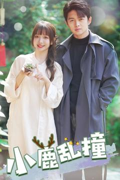 小鹿乱撞（40集）短剧分享精彩后续