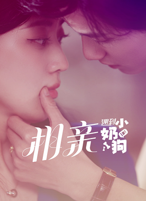 相亲遇到小奶狗（80集）更新短剧精彩不断