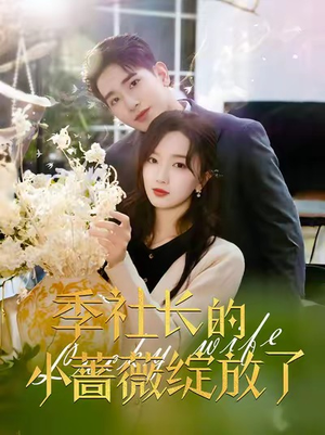 季社长的小蔷薇绽放了（60集）每晚准时更新分享