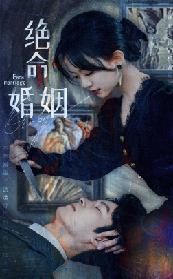 绝命婚姻（90集）短剧合集4K修复版
