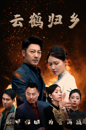 云鹤归乡（65集）红果短剧免费看剧