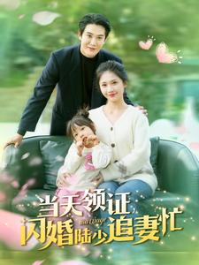 当天领证闪婚陆少追妻忙（80集）短剧精选全集无广告