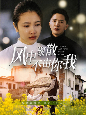 风中聚散不由你我（41集）短剧全集畅看无门槛