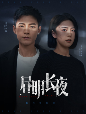 昼明长夜（35集）推荐热门短剧全集