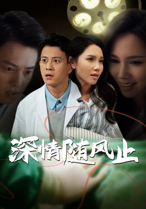 深情随风止（54集）热播短剧精彩片段