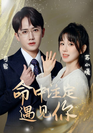 命中注定遇见你（96集）短剧合集通宵追更版
