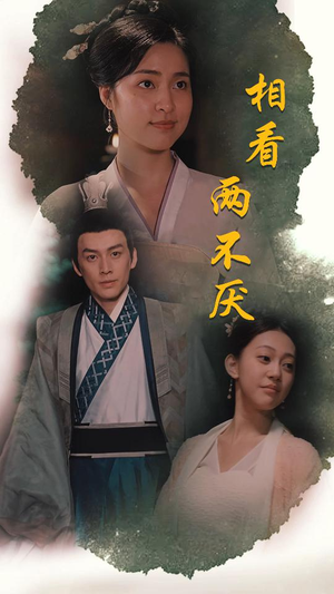 这个王妃不好惹（85集）短剧合集导演剪辑版