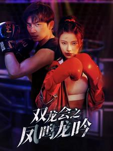 双龙会之凤鸣龙吟（80集）超火爆短剧抢先看