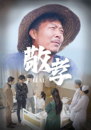 敬孝（61集）超好看短剧追不停