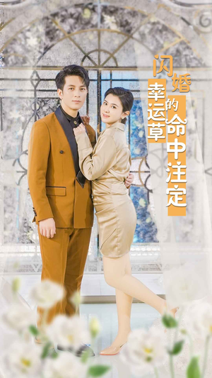 闪婚幸运草的命中注定（82集）短剧推荐正在热播