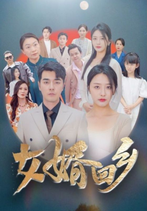 女婿回乡（120集）推荐热门短剧全集