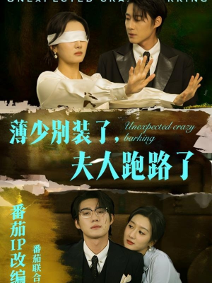 薄少别装了夫人跑路了（60集）短剧合集4K修复版