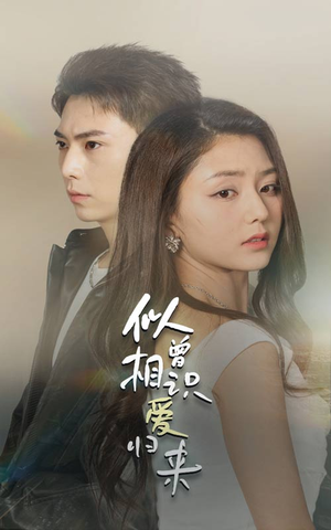 似曾相识爱归来（77集）短剧追到爽全集完整版