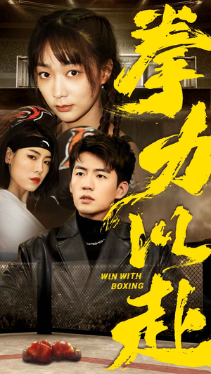 拳力以赴（80集）短剧全集大结局完整版