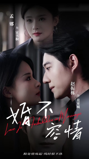 婚不容情（89集）短剧合集杜比音效版