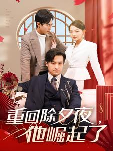 重回除夕夜他崛起了（89集）热门短剧推荐推荐
