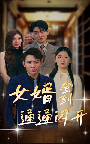 女婿驾到，通通闪开（34集）短剧限免全集任你点