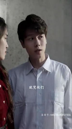 玲珑战婿（99集）每天更新精彩短剧
