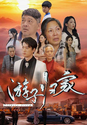 游子归家（88集）精彩短剧每天更新