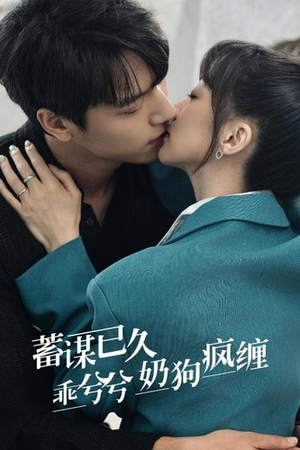 蓄谋已久，乖兮兮奶狗疯缠（94集）短剧上头一起来追