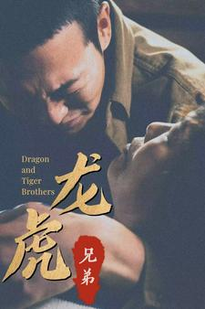 龙虎兄弟（80集）超好看短剧追不停