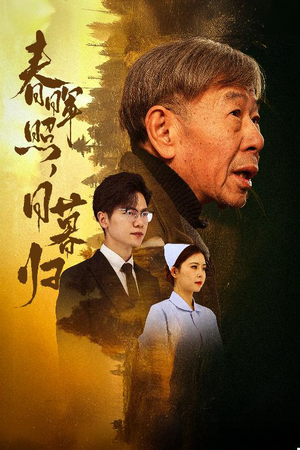 春晖照日暮归（30集）短剧全剧终限免合集