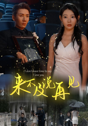 来不及说再见（30集）喜欢短剧的看过来