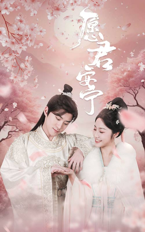愿君安宁（34集）短剧大结局连更全集
