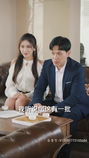 阅尽世间繁华 复刻回忆（103集）热门短剧推荐推荐