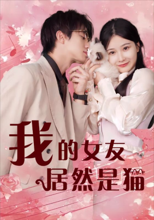 我的女友居然是猫（80集）男女都爱看的短剧