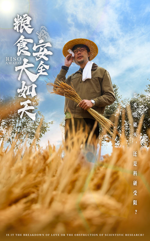 粮食安全大如天（43集） 精彩古装短剧推荐