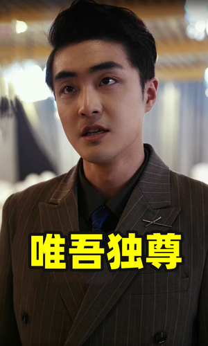 唯吾独尊（96集）每日热门短剧推荐
