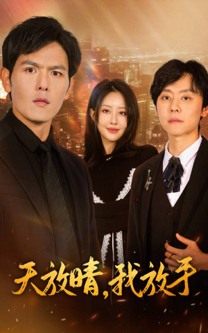 天放晴，我放手（35集）热门免费短剧推荐