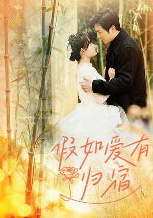 假如爱有归宿（73集）短剧精选全集无广告