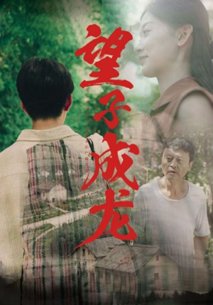 望子成龙(74集) 望子成龙(74集)短剧全剧免费合集