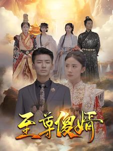 至尊傻婿（82集）热门短剧新剧推荐