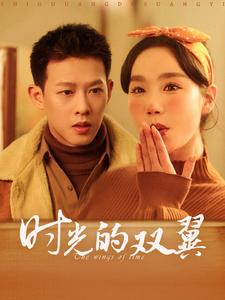 时光的双翼（94集）短剧全剧终在线连看