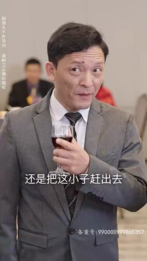 九州天龙（100集）好看短剧每天更新