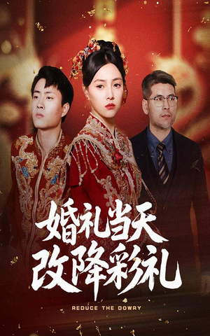 婚礼当天改降彩礼（60集）左下角看全集精彩短剧