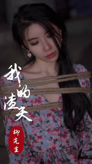 我的渣夫柳先生（80集）最新短剧热门推荐
