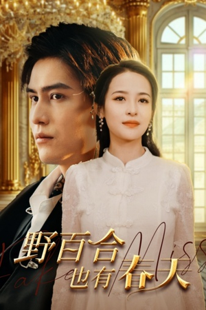 野百合也有春天（85集）看一段就想看完的短剧
