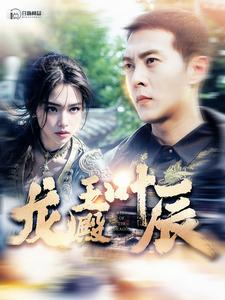 龙王殿叶辰（100集）短剧全剧免费合集