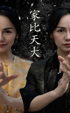 家比天大（63集）短剧大结局合集放送