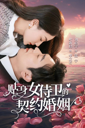 贴身女侍卫的契约婚姻（91集）热门儿短剧抢先看