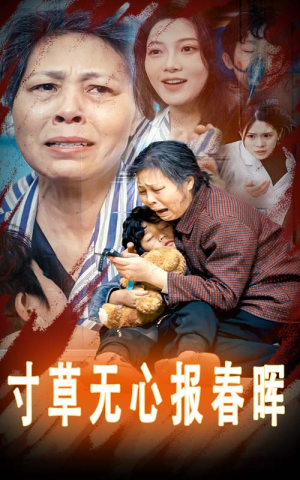 孝子慈孙（31集）短剧来了精彩继续