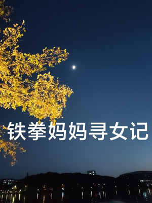 铁拳妈妈寻女记（69集）热门古装短剧推荐